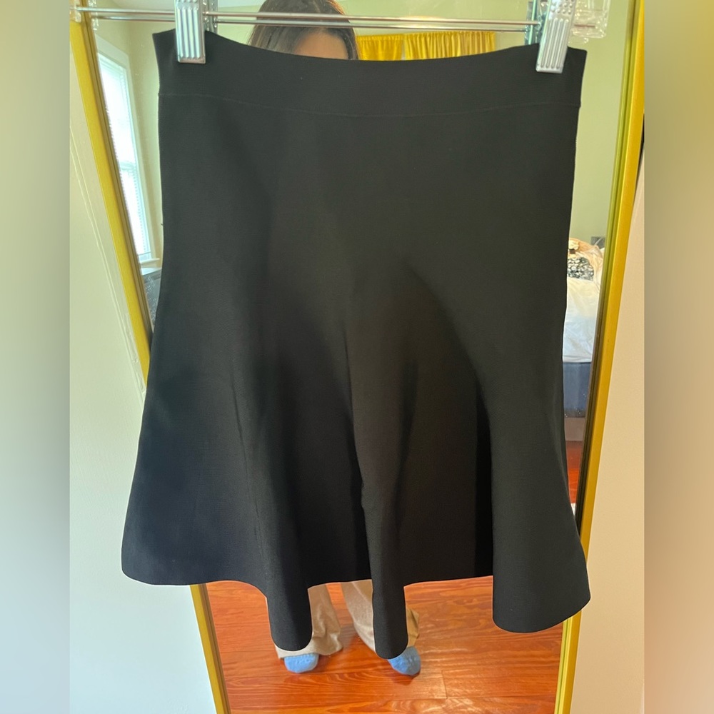BCBG fit and flare mini skirt